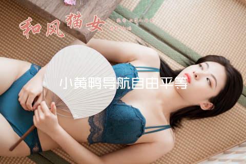 小黄鸭导航自由平等